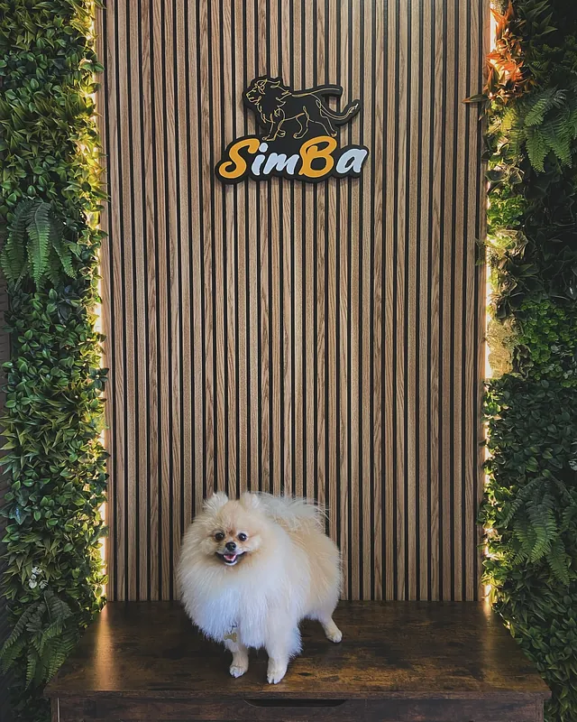 La Boutique De Simba perro